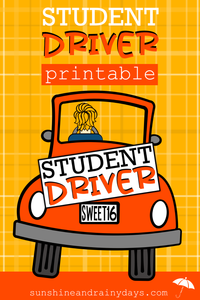 Student Driver Sign (PDF)