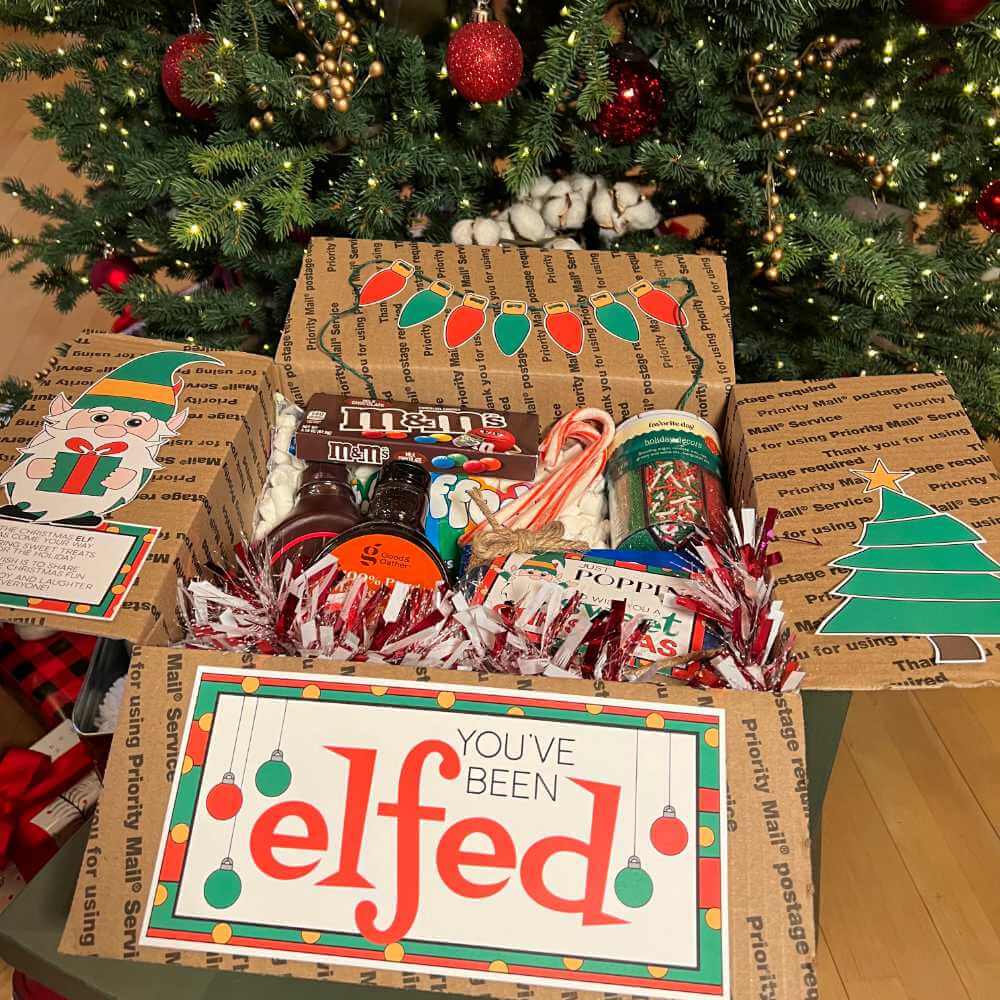 You've Been Elfed Care Package Printables (PDF) – Sunshine And Rainy Days